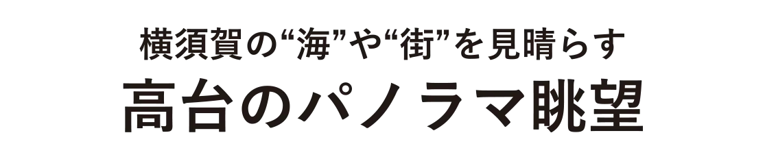 ご来場者様限定