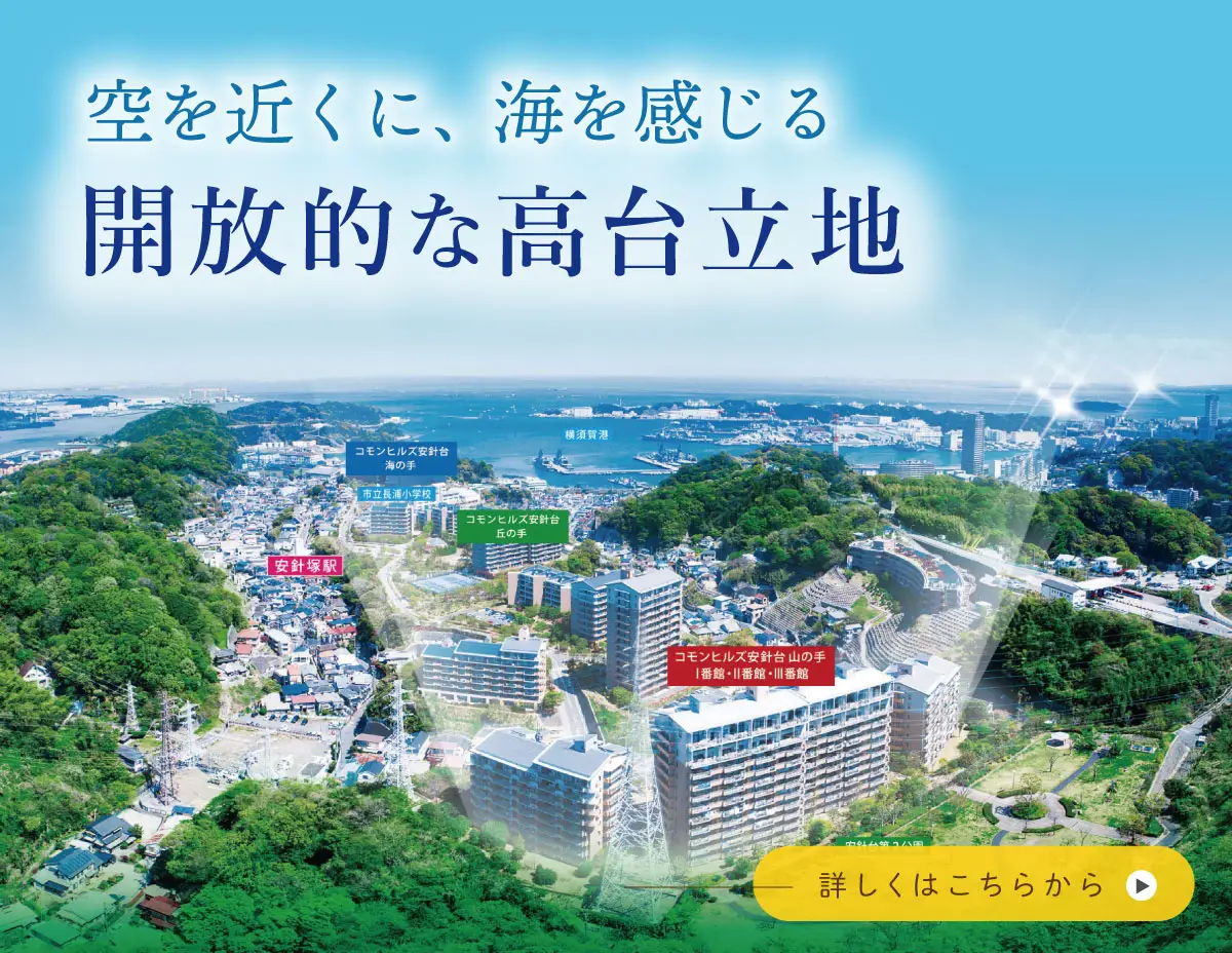 限定サイト