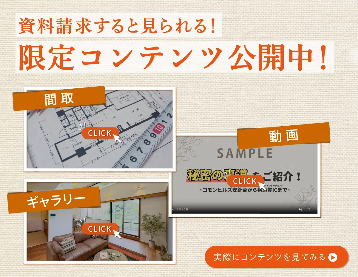 限定サイト