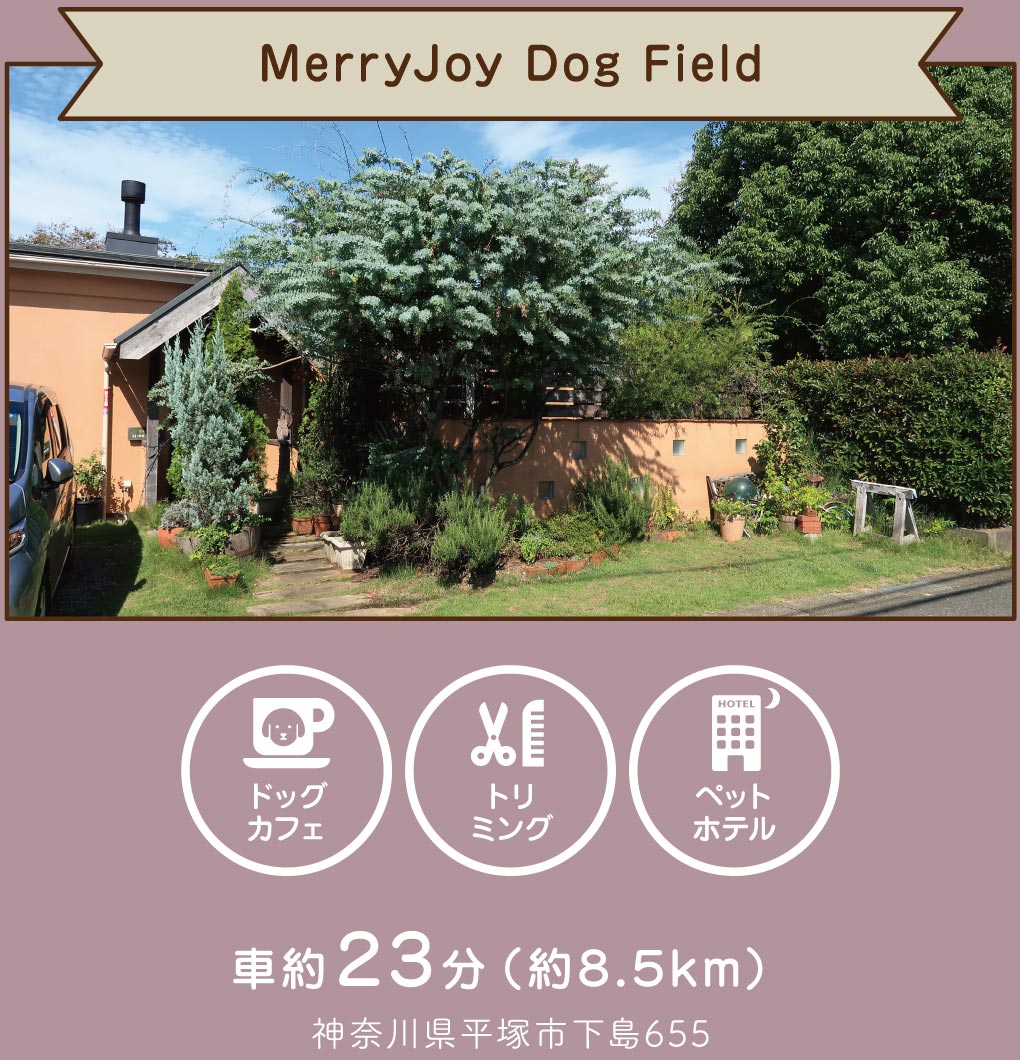 MerryJoy Dog Field